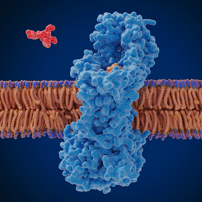 Linking Chemistry with Immune Response to Advance Drug Delivery