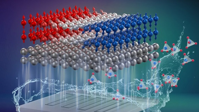 Ultrathin Freestanding Racetrack Membranes Couple with Transfer Bases