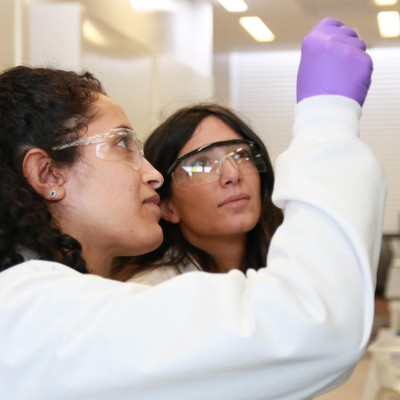 Giving Diverse Students A Head Start in Bioinspired Nanotechnology