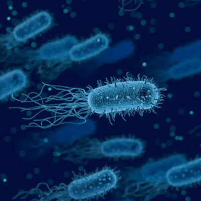 Testing Antibiotic Resistance with a Fast, Cheap, and Easy Method