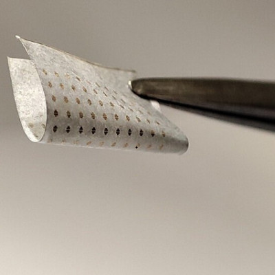 Cityu Researchers Invent a Low-temperature Synthesis Method for High-quality Tellurium Nanomesh for Next-generation Electronics