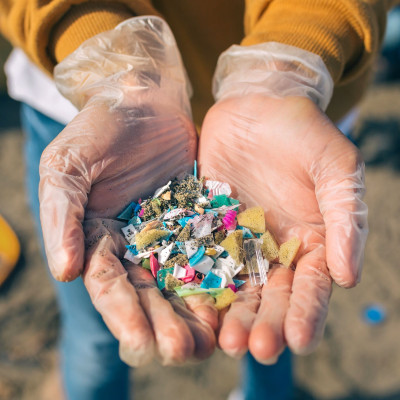 Getting A Grip on Microplastics’ Risks