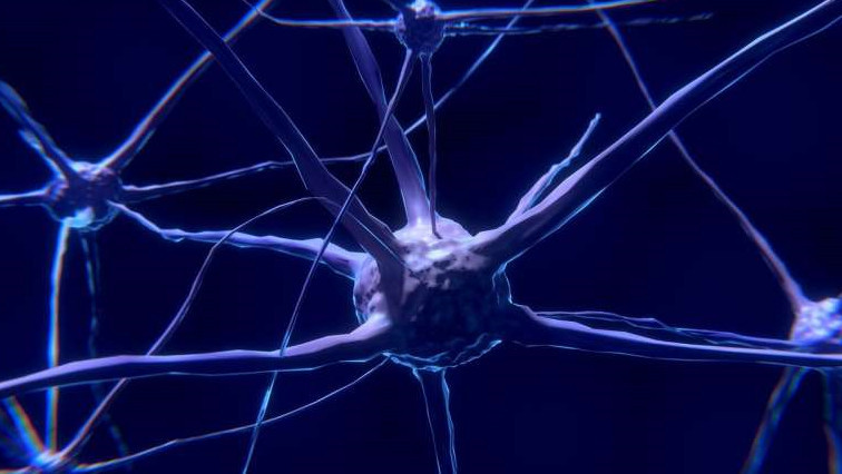 Graphene Nanoparticles and Their Influence on Neurons
