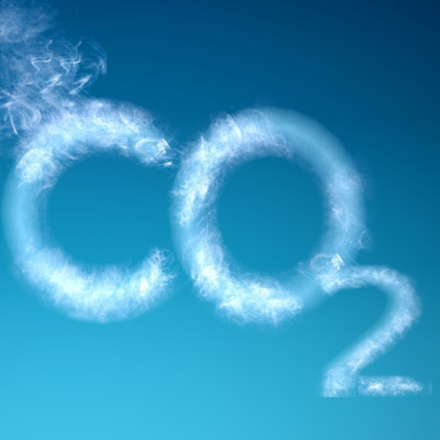 Minimal Molecules Designed with CO2 Capture Capacity