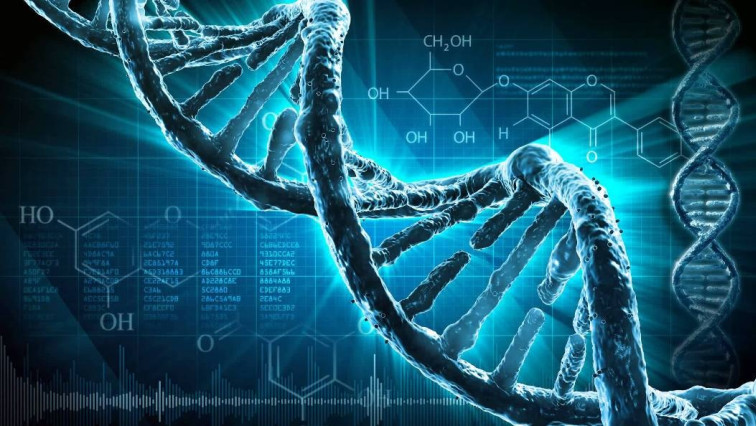 DNA Nanostructures Get a Major Upgrade