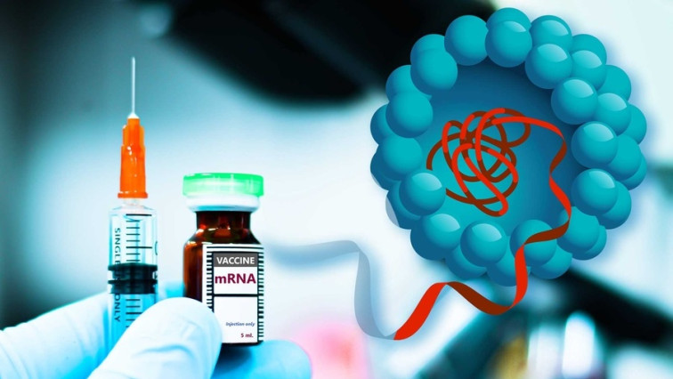 Particles that Enhance mRNA Delivery Could Reduce Vaccine Dosage and Costs