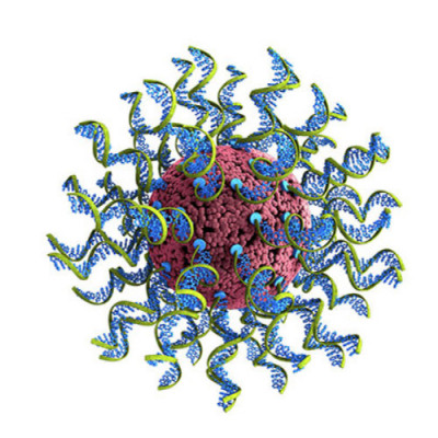 Nanoparticle-based COVID-19 Vaccine Could Target Future Infectious Diseases