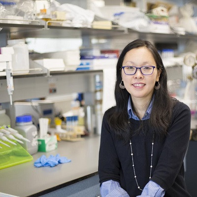NYU Tandon Researchers Develop Self-assembling, Self-illuminating Therapeutic Proteins