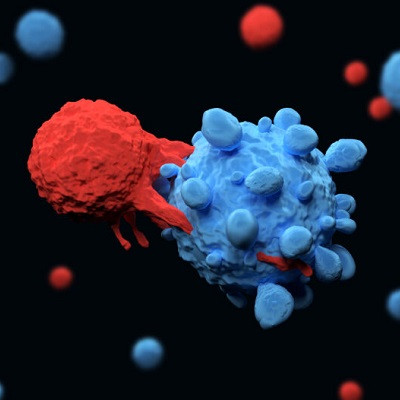 Accelerating CAR T Cell Therapy: Lipid Nanoparticles Speed Up Manufacturing
