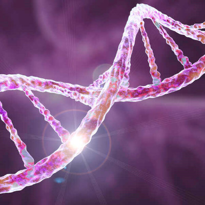 Breaking Bonds: Double-Helix Unzipping Reveals DNA Physics
