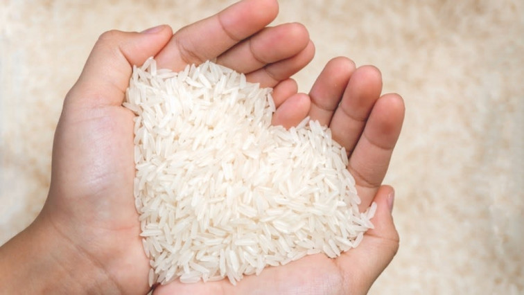 Nanoparticles in Sunscreen Shown to Shield Rice from Scorching Heat; Increase Yield