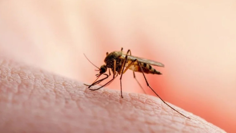 Cellulose Nanocrystals as A Barrier Against Mosquito Bites