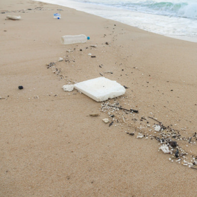 Polystyrene Nanoparticles Under the Microscope: Intensifying Mortality in Polluted Waters