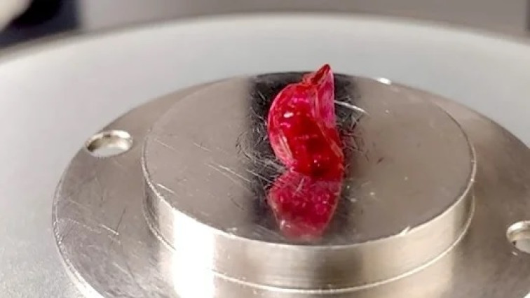 Rice Scientists Develop Hydrogel Platform for Long-lasting, Precision Drug Delivery