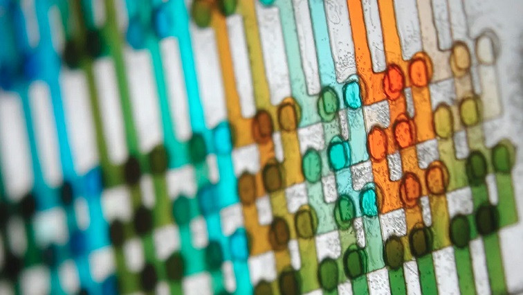 Microfluidics: The Tiny, Beautiful Tech Hidden All Around You