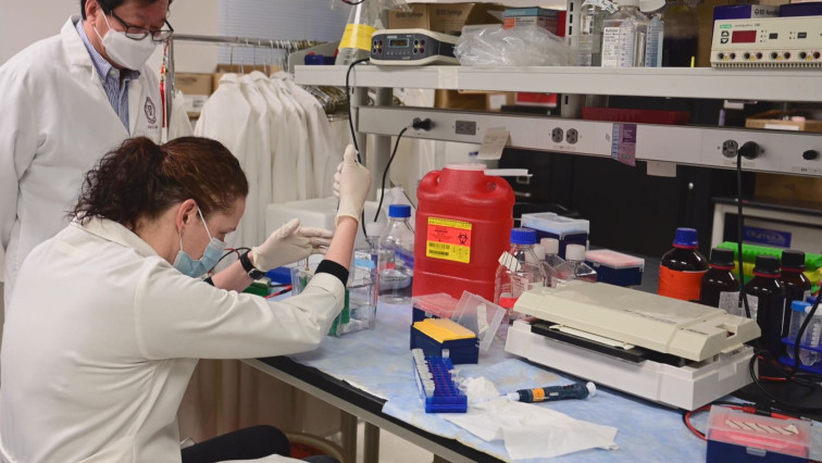 Virginia Tech Researchers Developing a New Vaccine for A Swine Coronavirus