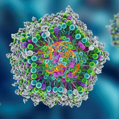 New ‘Smart’ Nanoparticles Help The Immune System Better Attack Tumours