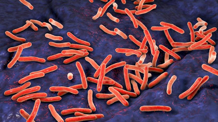 Breathing New Life into TB Treatment with Inhalable Nanomedicine