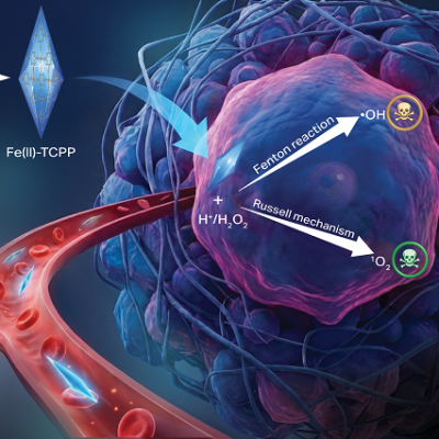 New Cancer-killing Material Developed by Oregon State University Nanomedicine Researchers