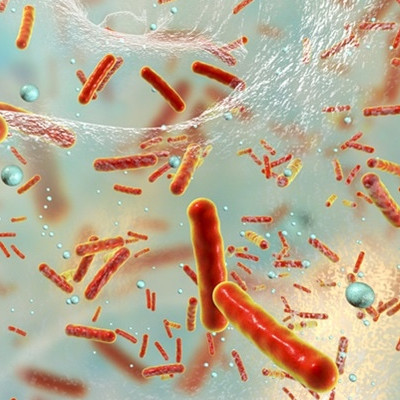 Nanocrystals That Eradicate Bacteria Biofilm