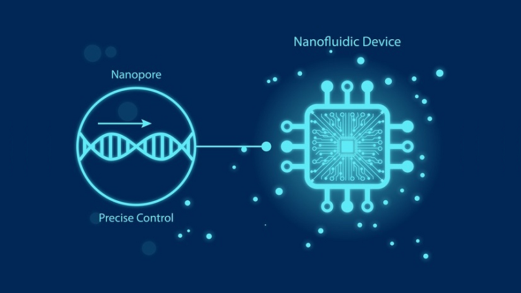Fusion of Nanopores and Nanofluidic Devices Could Transform Medicine and Beyond
