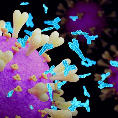 Chemists’ Technique Reveals Whether Antibodies Neutralize SARS-CoV-2