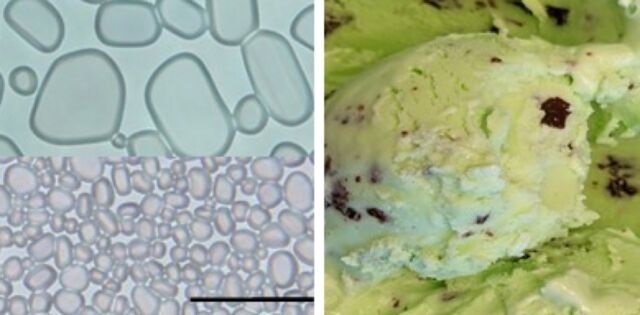 Adding cellulose nanocrystals prevents the growth of small ice crystals (bottom left) into the large ones (top left) that can make ice cream (right) unpleasantly crunchy.