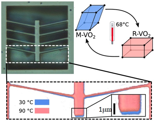 Bright-field microscopy image of a VO2 chevron-type planar actuator