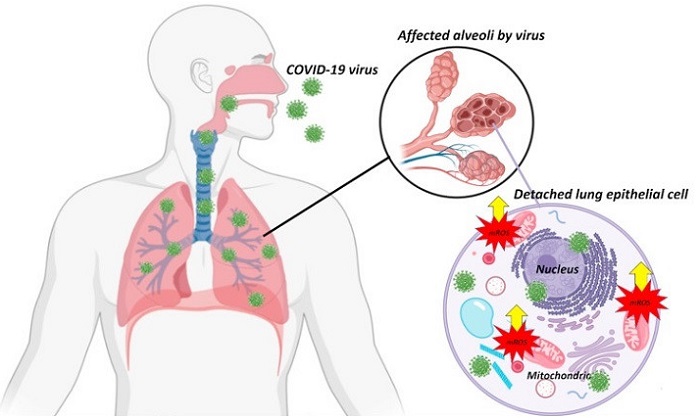 Real-time Detection of COVID-19 Aided by CNT-based Electrochemical Sensors