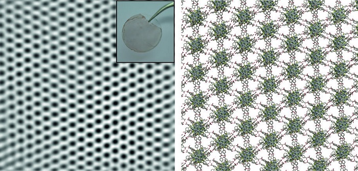 Electron microscopy image (inset: photograph of membrane on a glass cover slip) and a schematic representation of nanoparticle membrane.