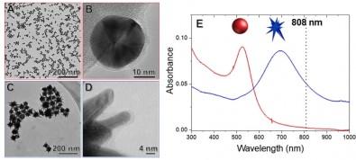 Transmission electron microscope images of gold nanospheres (