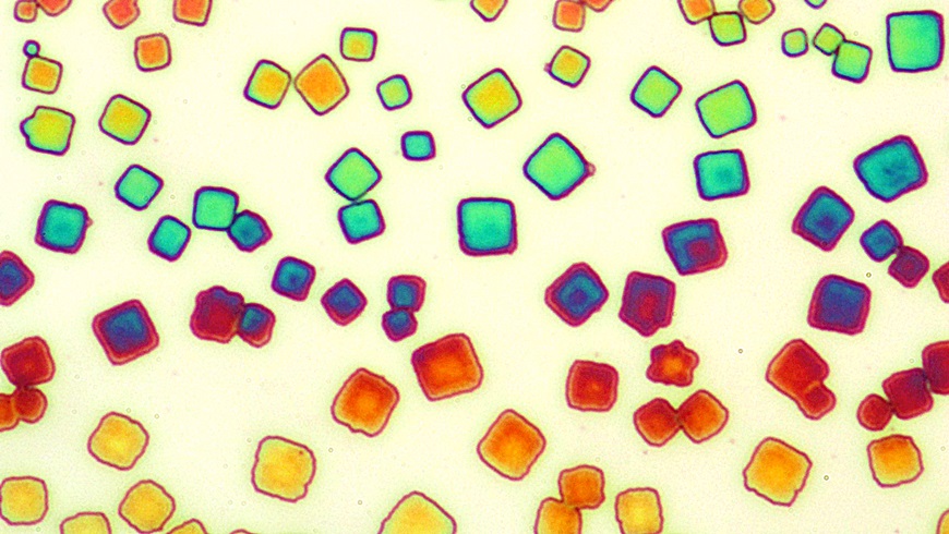 Optical microscopy image of large cubic superlattices