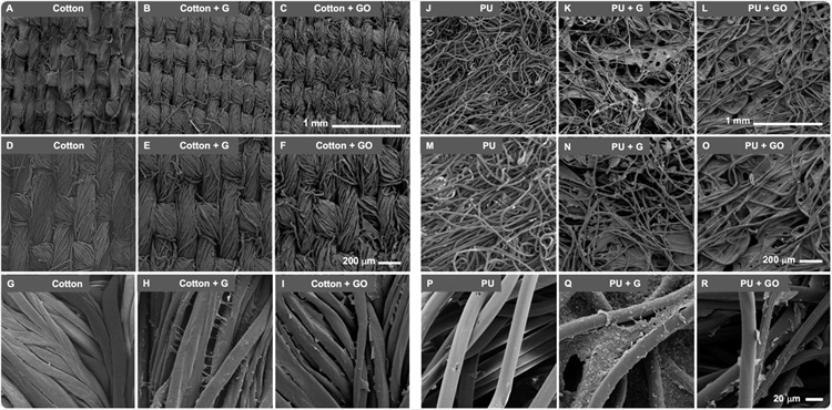 Scanning electron microscopic (SEM) images of Graphene (G) and Graphene oxide (GO) functionalized materials