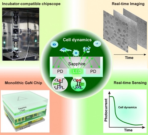 a novel photonic chipscope for label-free monitoring of live cell activities