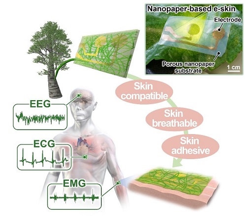 Schematic of the nanopaper-based e-skin for harmonious on-skin monitoring of Electroencephalogram (EEG), electrocardiogram (ECG), and electromyogram (EMG).