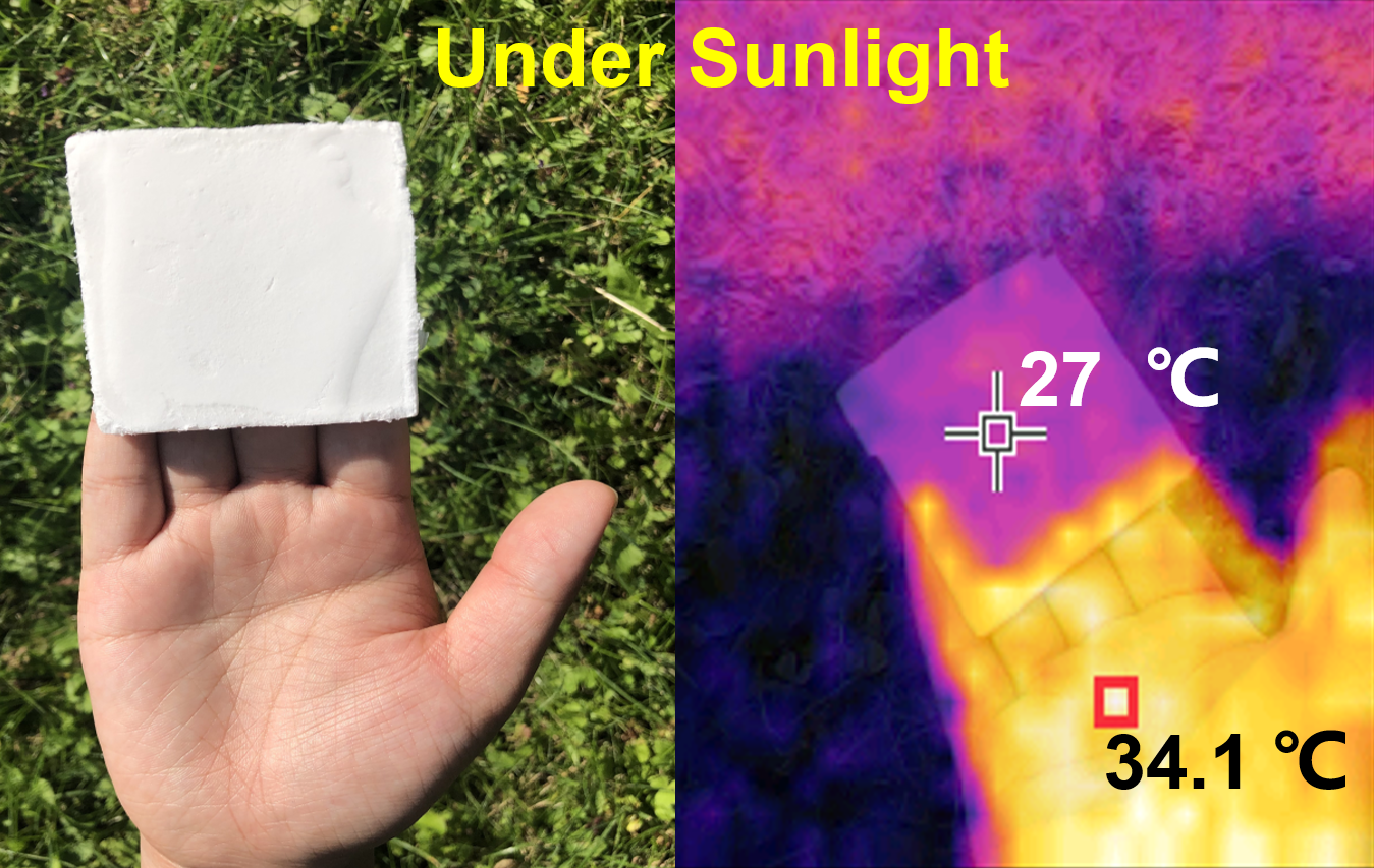 A lightweight foam (left image) made from cellulose nanocrystals keeps its cool in the sun (pink box; right image).