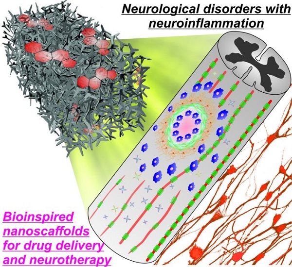 This drug delivery system includes a porous biodegradable platform that can reduce nervous tissue inflammation