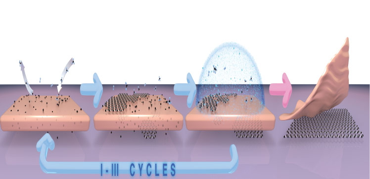 A schematic illustration of the single-crystal graphene sheets grown on an insulating substrate