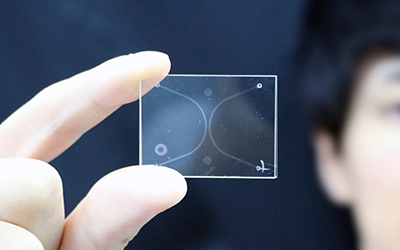 A nanofluidic device enabling fabricating nanoscale gas-liquid interfaces