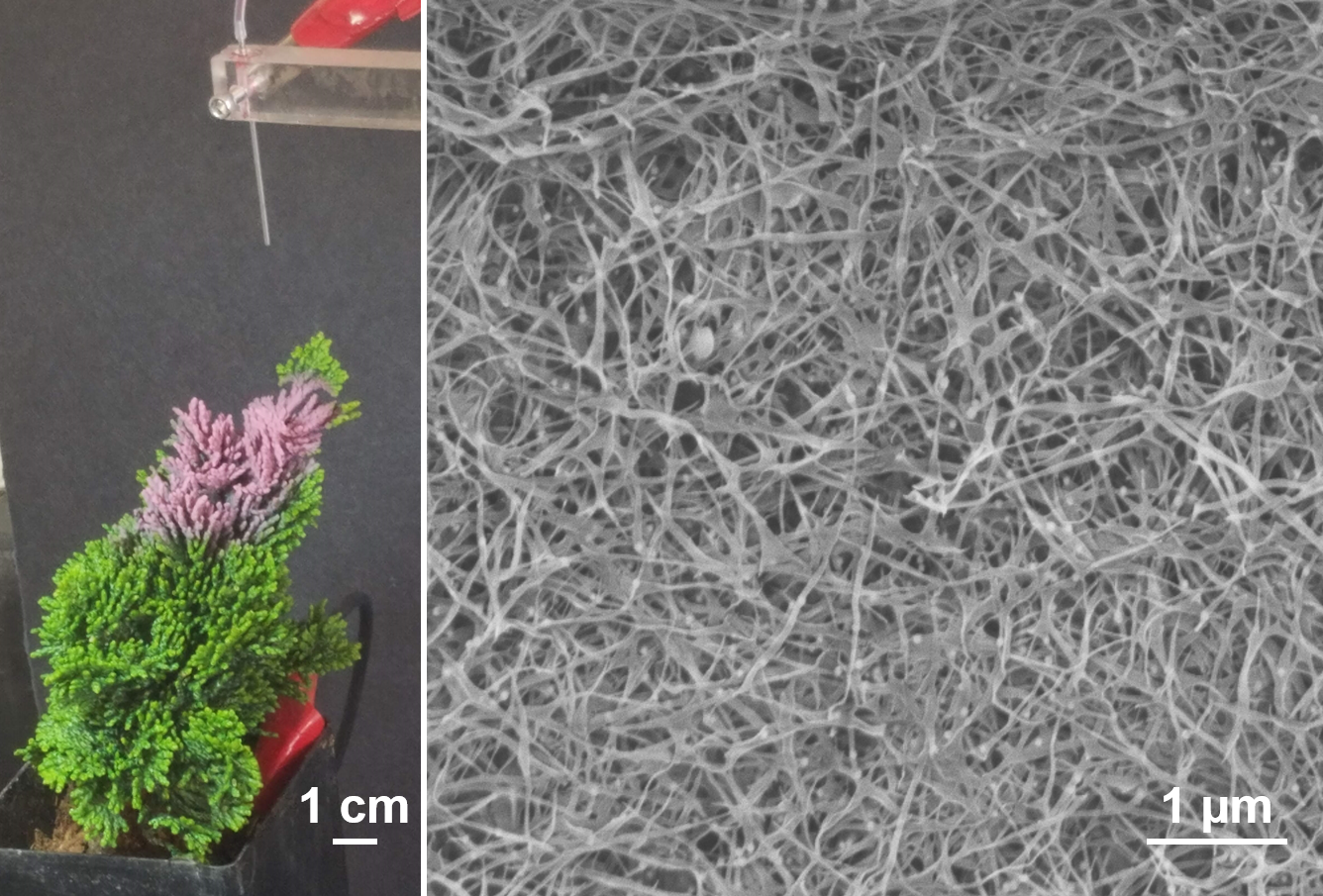 nanowire forest being sprayed on a miniature tree