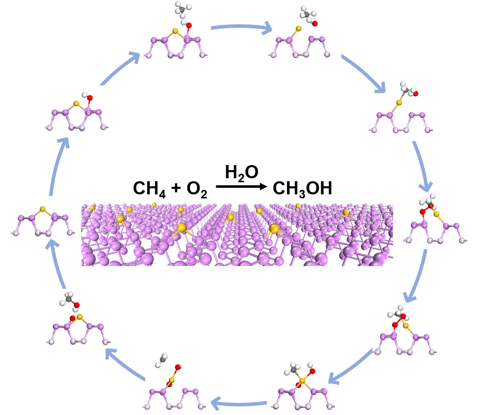 Schematic diagram of the reaction pathway for methane oxidation over Au1/BP nanosheets.