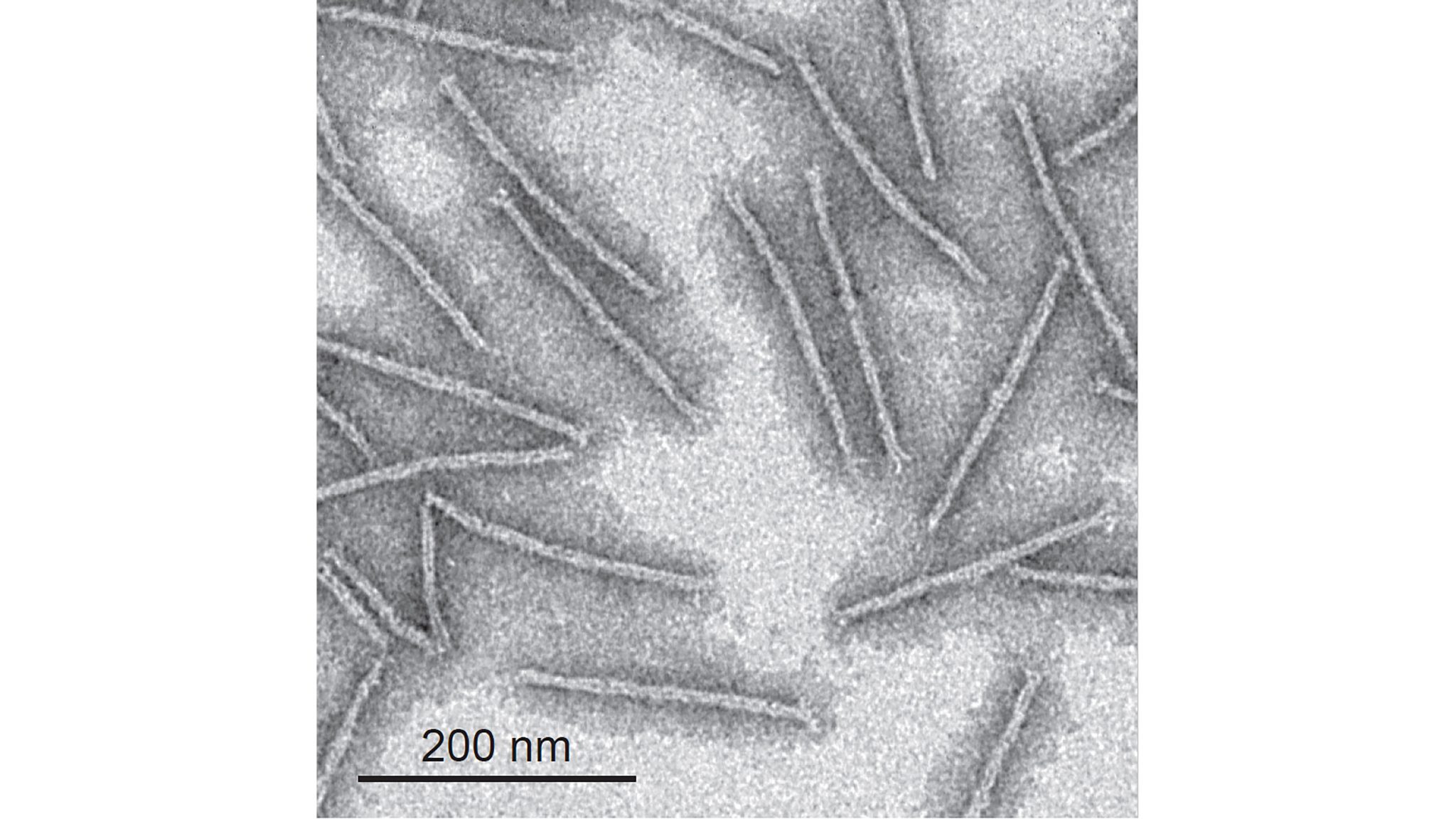 DNA origami wires