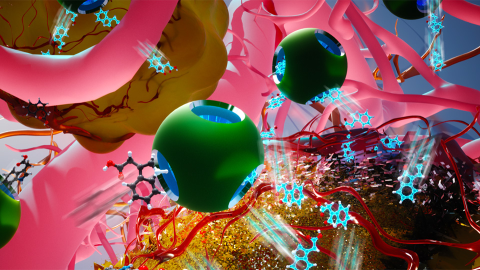 Schematic representation of ‘bioorthogonal catalysis’ where the use of nanotechnology converts the plant-derived molecule into a chemotherapeutic that shrinks breast cancer tumours