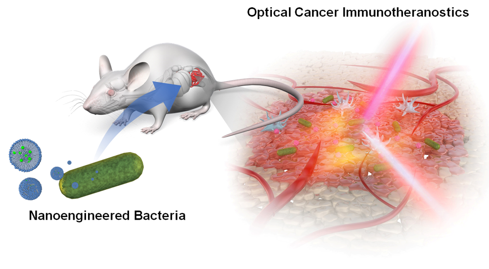 Schematic illustration of nanoengineered bacteria