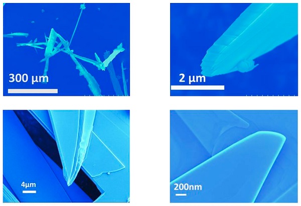 Electron microscope images of the hair-shaped structures, also known as "whiskers", which contain the thin molybdenene layers. 