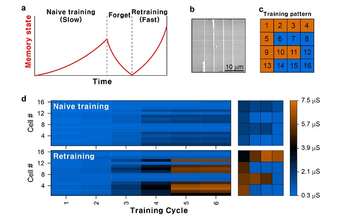 Retraining operation in the neuromorphic device array