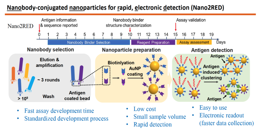 The graphic highlights the key features of Nano2RED, an innovative diagnostic method invented by professor Wang and his colleagues.