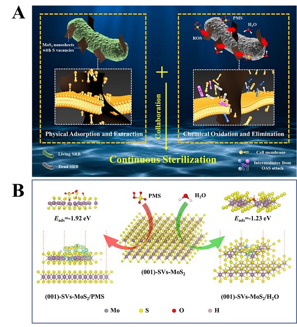 Schematic illustration of the continuous anaerobic bactericidal mechanism via physical extraction and chemical oxidation