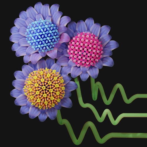 Conceptual image showcasing several interaction potential shapes, represented by stems, that will lead to the self-assembly of new low-coordinated crystal structures, represented by flowers.