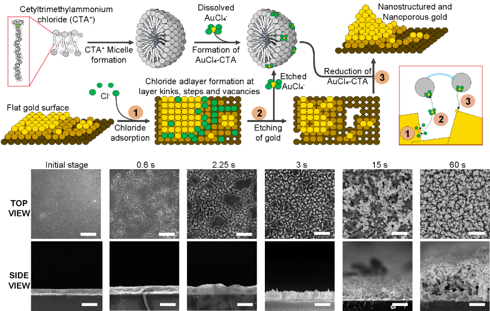 Mechanism to generate nanostructured and nanoporous gold surfaces